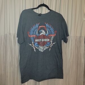 Gildan Gray Graphic Tee with Blue and Red Accents